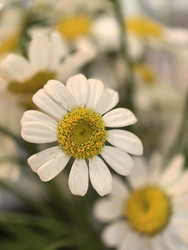 Similar image 22424337