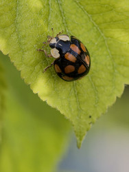 Similar image 22424338