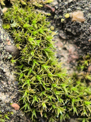 Similar image 22424340