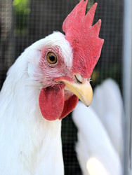 Similar image 22424342