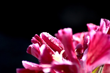 Similar image 22424343