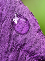 Similar image 22424344