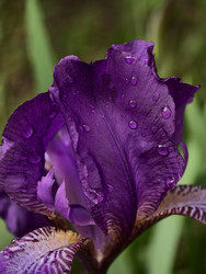 Similar image 22424345