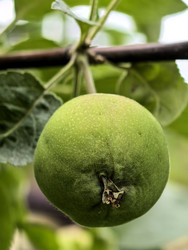 Similar image 22424347