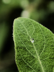 Similar image 22424349