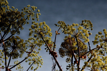 Similar image 22424350