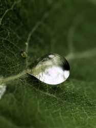 Similar image 22424351