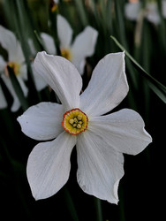 Similar image 22424352