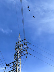 Similar image 22424353