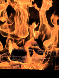 Similar image 22424354