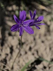 Similar image 22424356