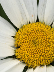 Similar image 22424359