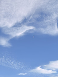 Similar image 22424360