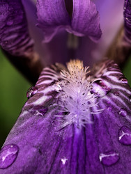 Similar image 22424361