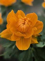 Similar image 22424362