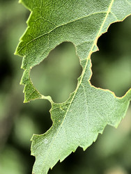 Similar image 22424363