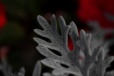 Similar image 22424364