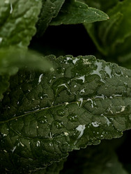 Similar image 22424365