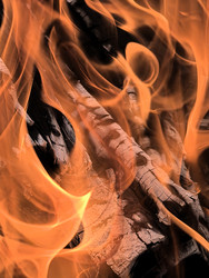 Similar image 22424368