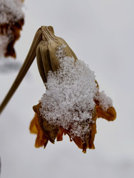 Similar image 22424372