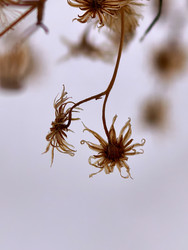 Similar image 22424373