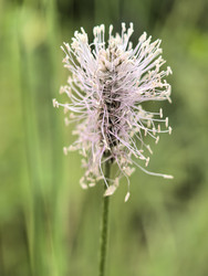 Similar image 22424374