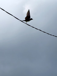 Similar image 22424376