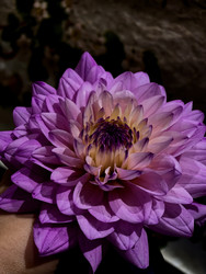 Similar image 22424377