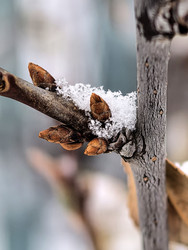 Similar image 22424378