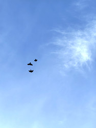 Similar image 22424379