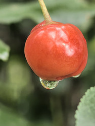 Similar image 22424381