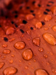 Similar image 22424383