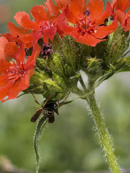 Similar image 22424384