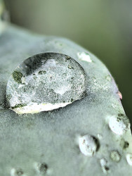 Similar image 22424385