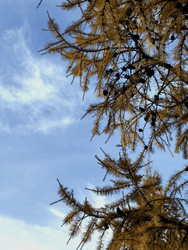 Similar image 22424388