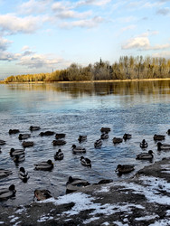 Similar image 22424390