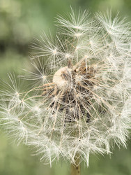 Similar image 22424391