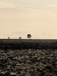 Similar image 22424393