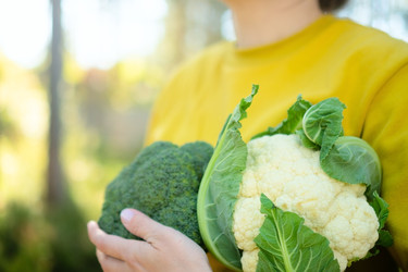 Similar image 22426782