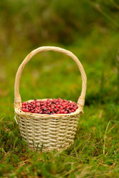 Similar image 22427517