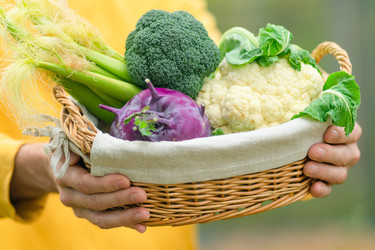 Similar image 22427518