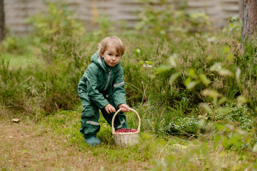 Similar image 22427532