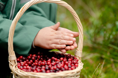 Similar image 22427533