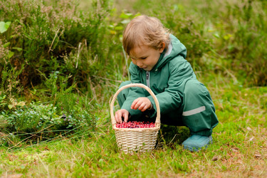 Similar image 22427534