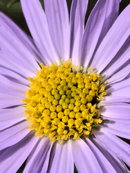 Similar image 22424397