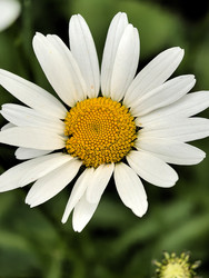 Similar image 22424398