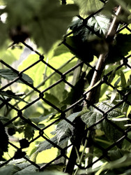 Similar image 22424399