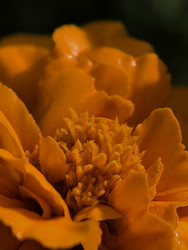 Similar image 22424400