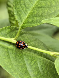 Similar image 22424402