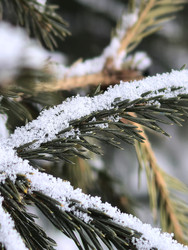 Similar image 22424403